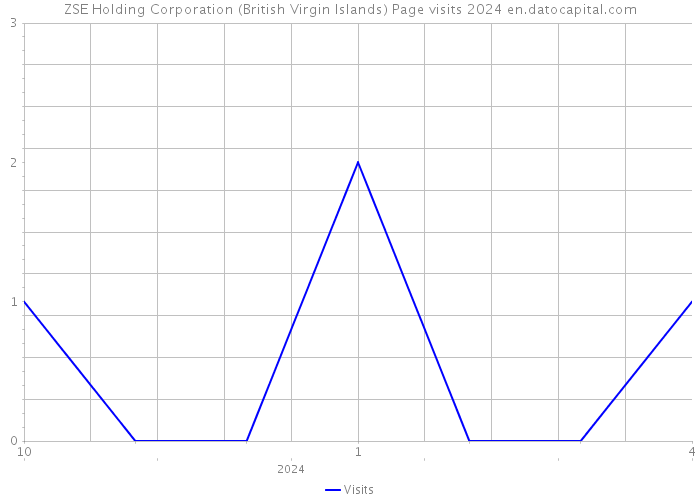 ZSE Holding Corporation (British Virgin Islands) Page visits 2024 