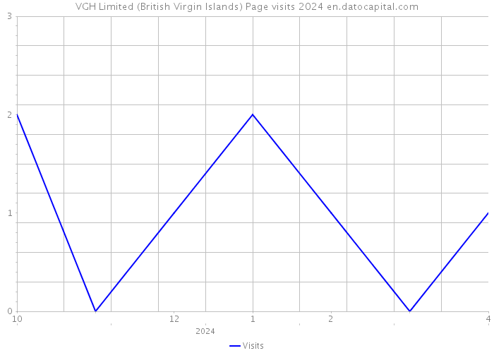 VGH Limited (British Virgin Islands) Page visits 2024 