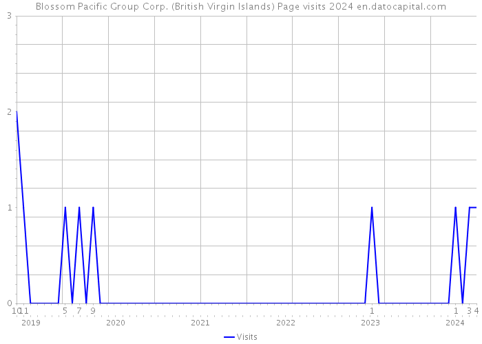 Blossom Pacific Group Corp. (British Virgin Islands) Page visits 2024 