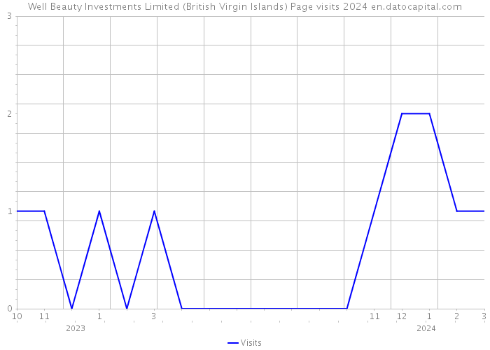 Well Beauty Investments Limited (British Virgin Islands) Page visits 2024 