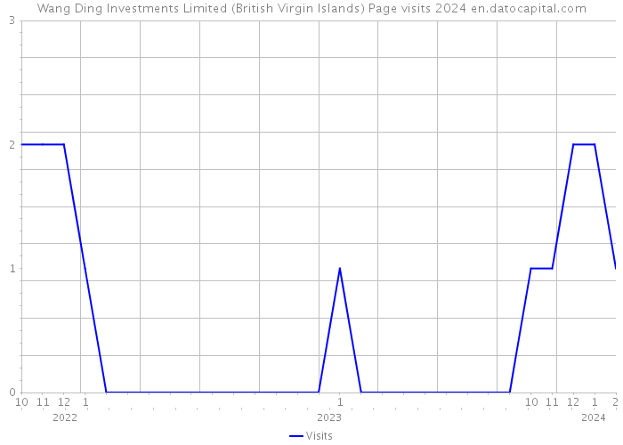 Wang Ding Investments Limited (British Virgin Islands) Page visits 2024 