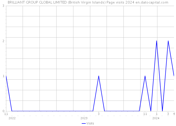 BRILLIANT GROUP GLOBAL LIMITED (British Virgin Islands) Page visits 2024 