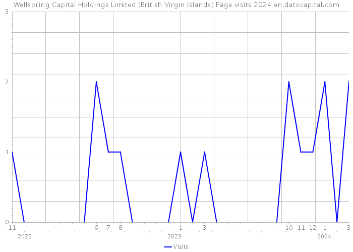 Wellspring Capital Holdings Limited (British Virgin Islands) Page visits 2024 