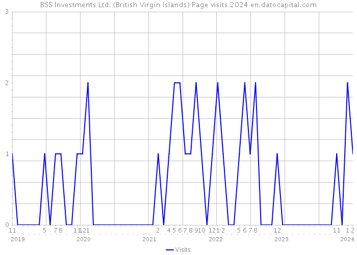 BSS Investments Ltd. (British Virgin Islands) Page visits 2024 