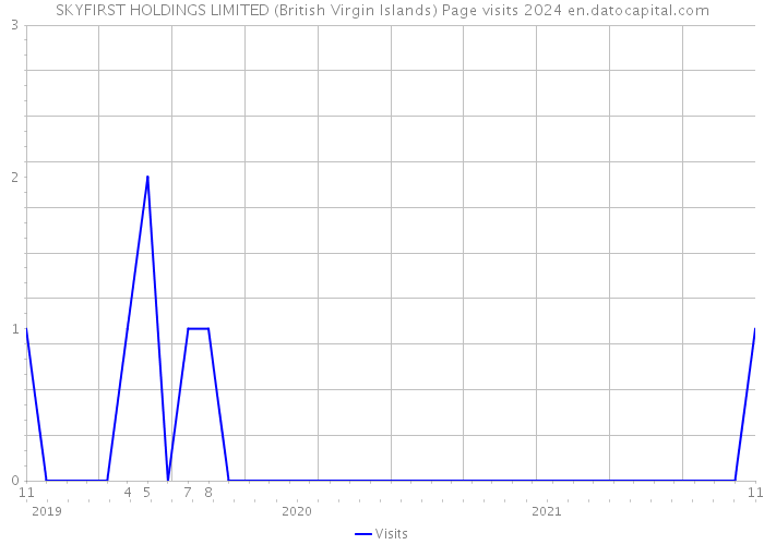 SKYFIRST HOLDINGS LIMITED (British Virgin Islands) Page visits 2024 