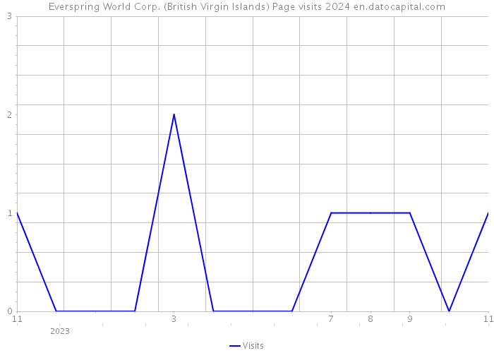Everspring World Corp. (British Virgin Islands) Page visits 2024 