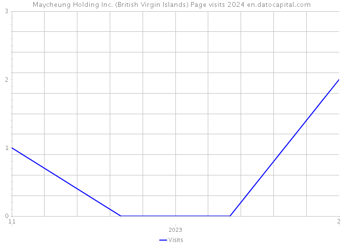 Maycheung Holding Inc. (British Virgin Islands) Page visits 2024 