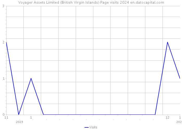 Voyager Assets Limited (British Virgin Islands) Page visits 2024 