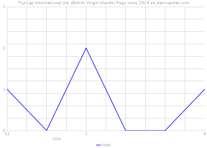 TopCap International Ltd. (British Virgin Islands) Page visits 2024 