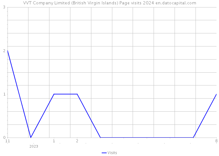 VVT Company Limited (British Virgin Islands) Page visits 2024 