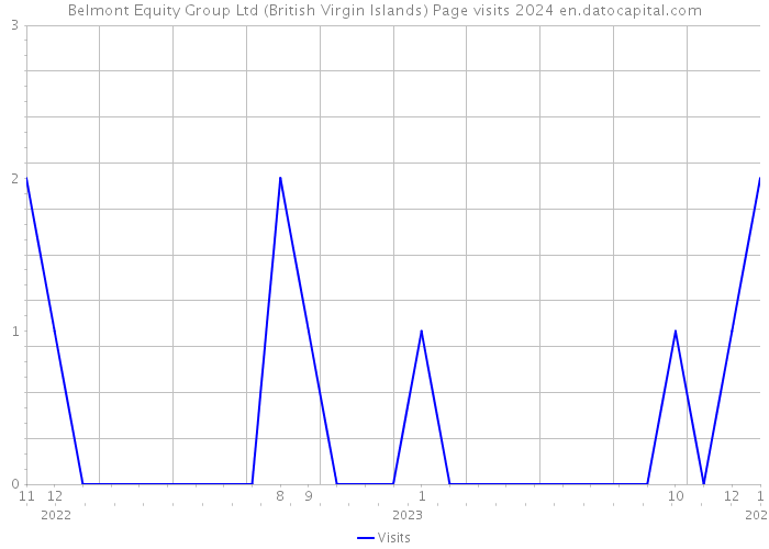 Belmont Equity Group Ltd (British Virgin Islands) Page visits 2024 
