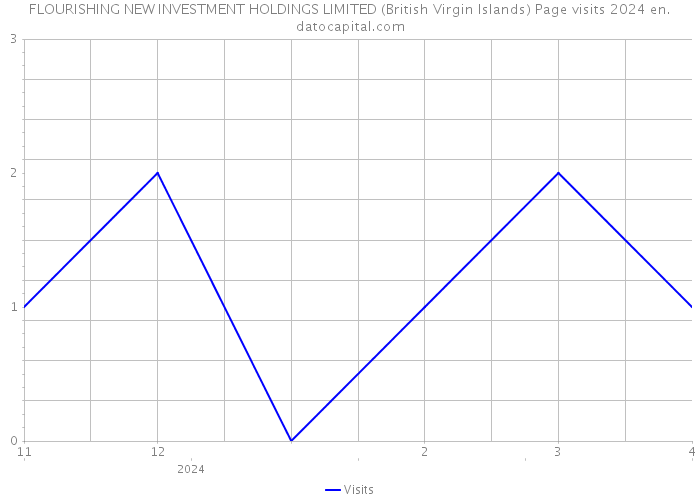 FLOURISHING NEW INVESTMENT HOLDINGS LIMITED (British Virgin Islands) Page visits 2024 