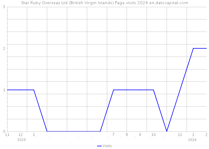 Star Ruby Overseas Ltd (British Virgin Islands) Page visits 2024 