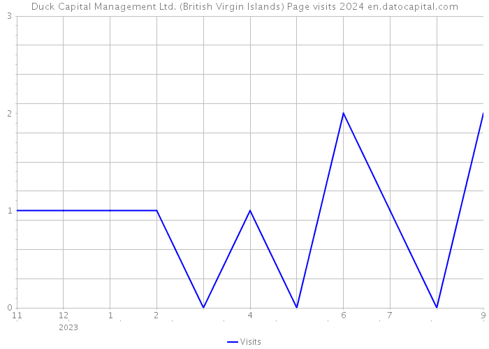 Duck Capital Management Ltd. (British Virgin Islands) Page visits 2024 