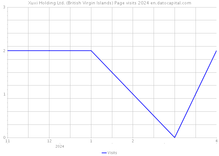 Xuxi Holding Ltd. (British Virgin Islands) Page visits 2024 