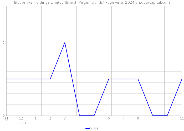 Bluebricks Holdings Limited (British Virgin Islands) Page visits 2024 
