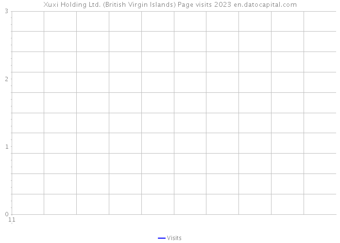 Xuxi Holding Ltd. (British Virgin Islands) Page visits 2023 