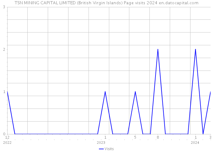TSN MINING CAPITAL LIMITED (British Virgin Islands) Page visits 2024 