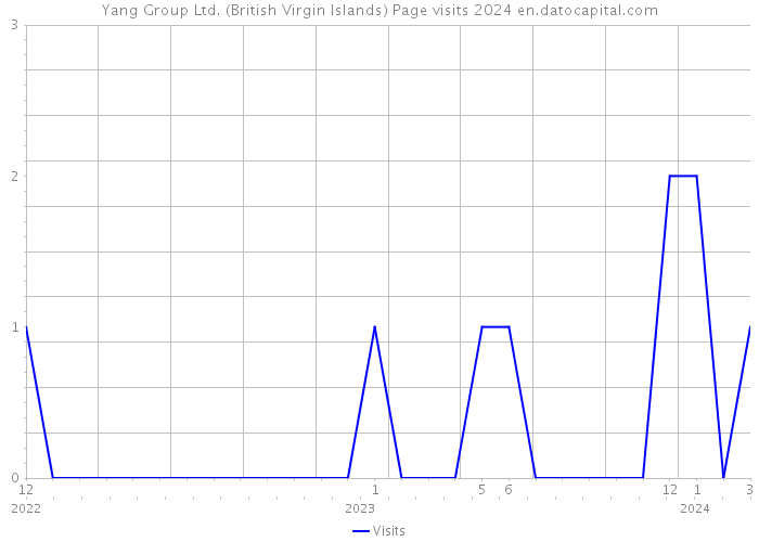 Yang Group Ltd. (British Virgin Islands) Page visits 2024 