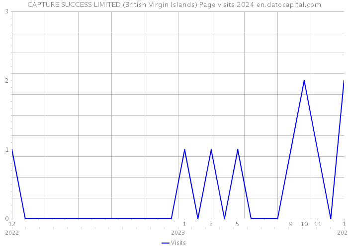 CAPTURE SUCCESS LIMITED (British Virgin Islands) Page visits 2024 