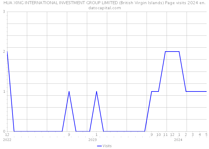 HUA XING INTERNATIONAL INVESTMENT GROUP LIMITED (British Virgin Islands) Page visits 2024 