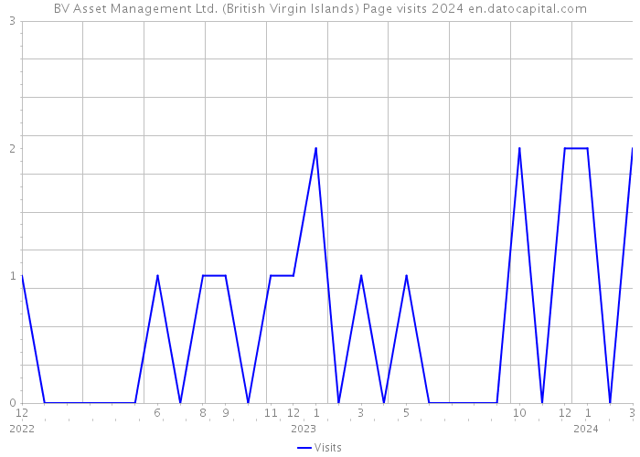 BV Asset Management Ltd. (British Virgin Islands) Page visits 2024 