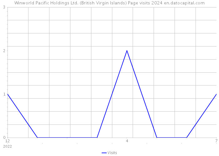 Winworld Pacific Holdings Ltd. (British Virgin Islands) Page visits 2024 
