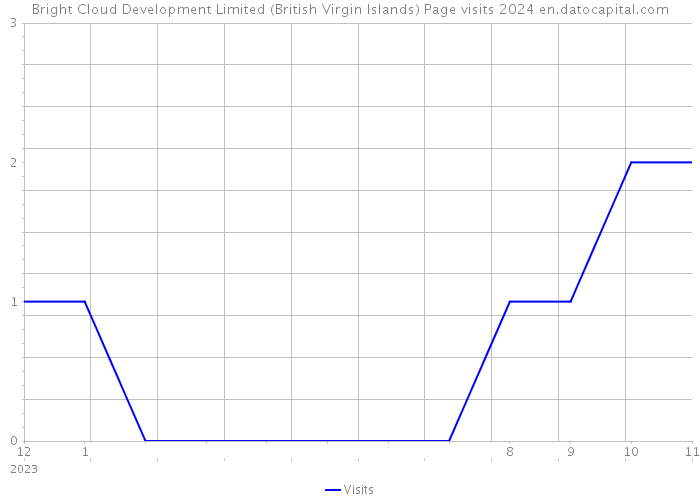Bright Cloud Development Limited (British Virgin Islands) Page visits 2024 