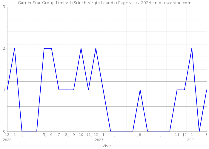 Garnet Star Group Limited (British Virgin Islands) Page visits 2024 