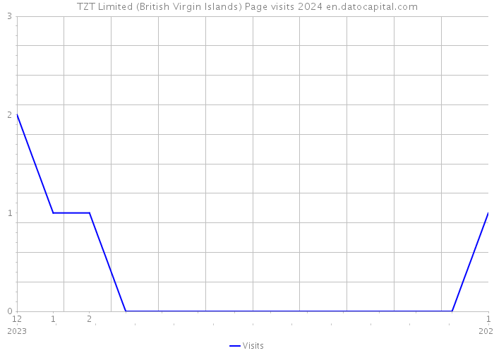 TZT Limited (British Virgin Islands) Page visits 2024 