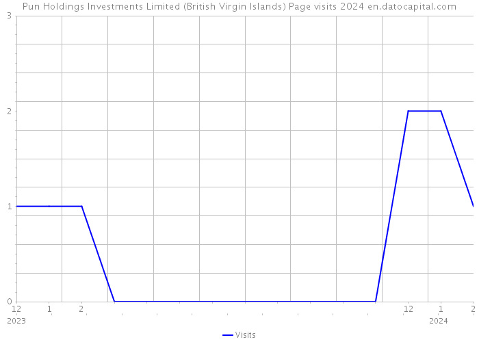 Pun Holdings Investments Limited (British Virgin Islands) Page visits 2024 