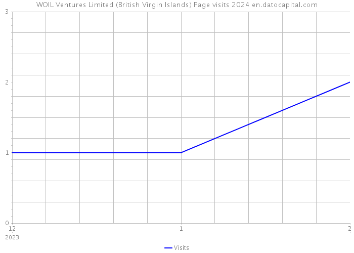 WOIL Ventures Limited (British Virgin Islands) Page visits 2024 