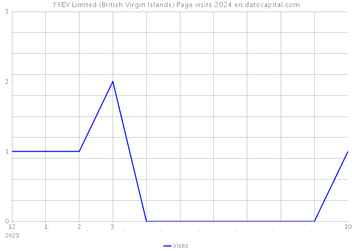 YYEV Limited (British Virgin Islands) Page visits 2024 