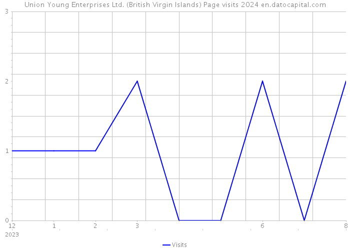 Union Young Enterprises Ltd. (British Virgin Islands) Page visits 2024 