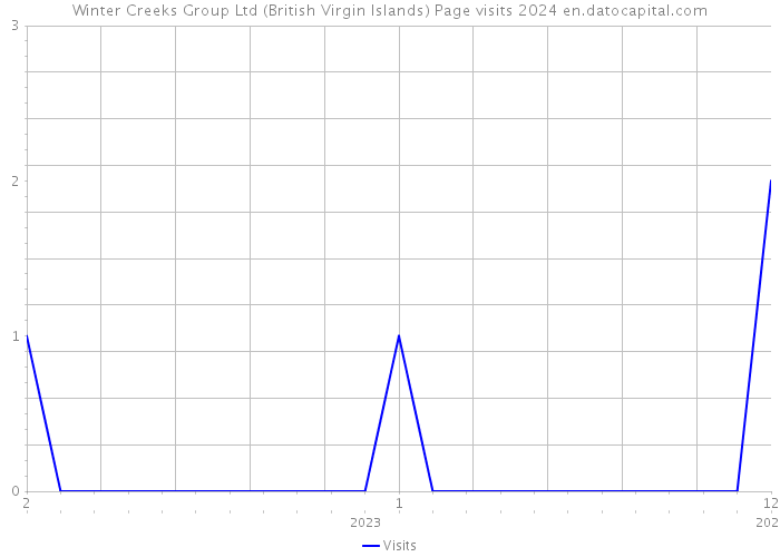 Winter Creeks Group Ltd (British Virgin Islands) Page visits 2024 
