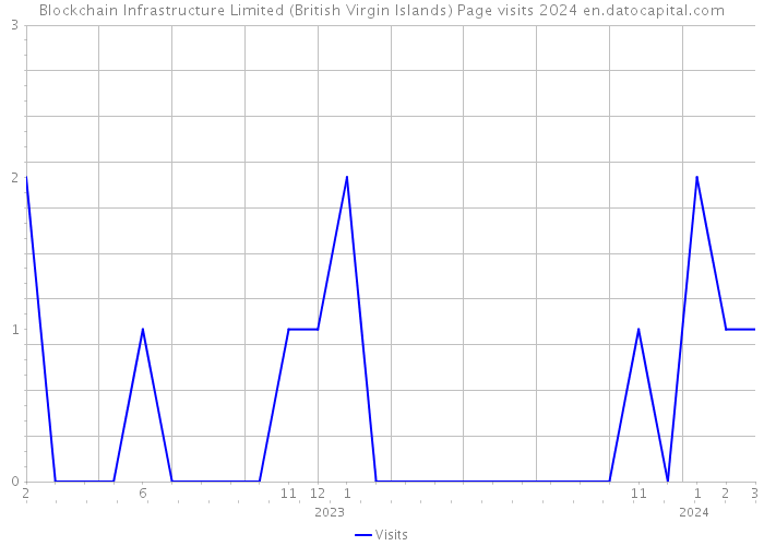Blockchain Infrastructure Limited (British Virgin Islands) Page visits 2024 
