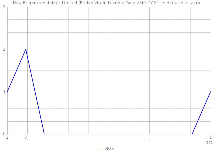 New Brighton Holdings Limited (British Virgin Islands) Page visits 2024 