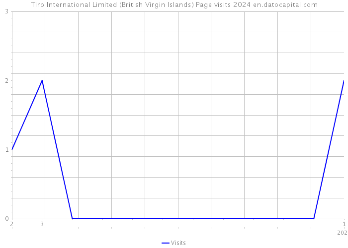 Tiro International Limited (British Virgin Islands) Page visits 2024 