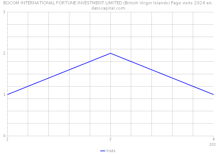 BOCOM INTERNATIONAL FORTUNE INVESTMENT LIMITED (British Virgin Islands) Page visits 2024 