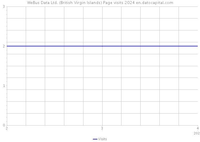 WeBus Data Ltd. (British Virgin Islands) Page visits 2024 
