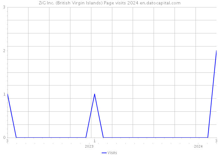 ZiG Inc. (British Virgin Islands) Page visits 2024 