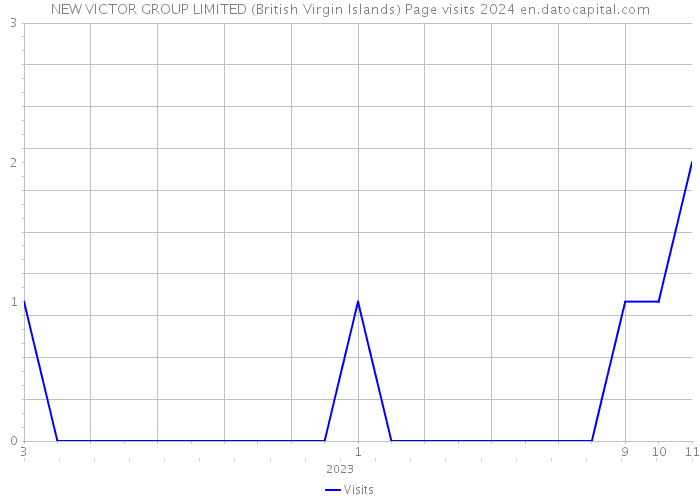 NEW VICTOR GROUP LIMITED (British Virgin Islands) Page visits 2024 