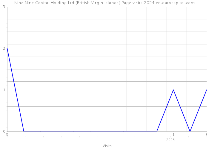Nine Nine Capital Holding Ltd (British Virgin Islands) Page visits 2024 