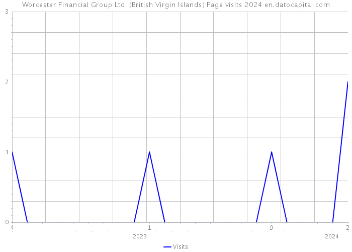 Worcester Financial Group Ltd. (British Virgin Islands) Page visits 2024 