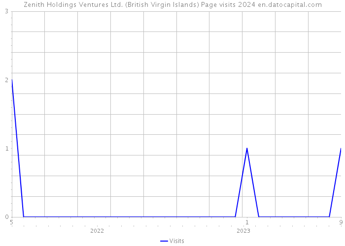Zenith Holdings Ventures Ltd. (British Virgin Islands) Page visits 2024 