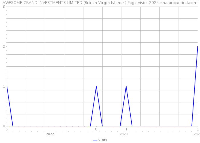 AWESOME GRAND INVESTMENTS LIMITED (British Virgin Islands) Page visits 2024 