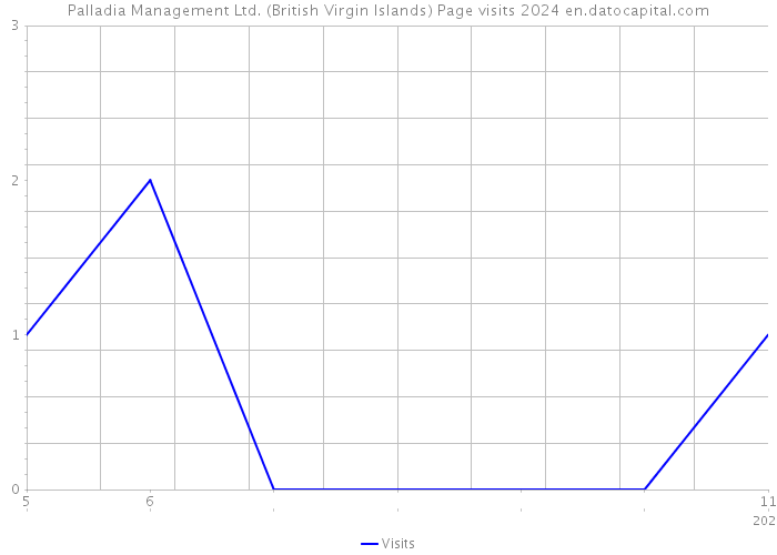 Palladia Management Ltd. (British Virgin Islands) Page visits 2024 