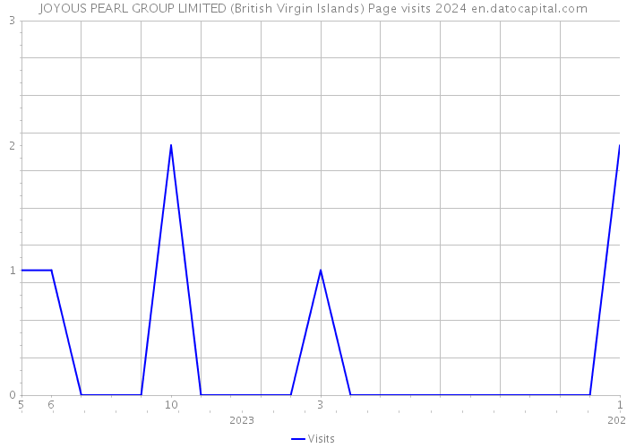 JOYOUS PEARL GROUP LIMITED (British Virgin Islands) Page visits 2024 