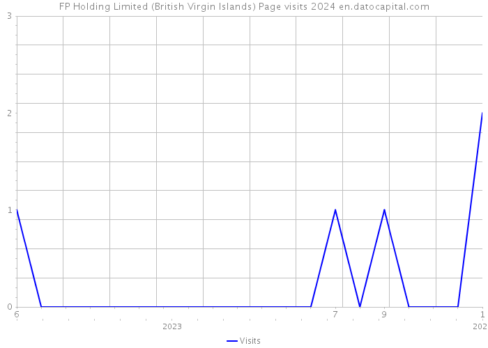 FP Holding Limited (British Virgin Islands) Page visits 2024 