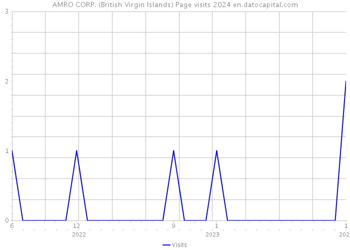 AMRO CORP. (British Virgin Islands) Page visits 2024 